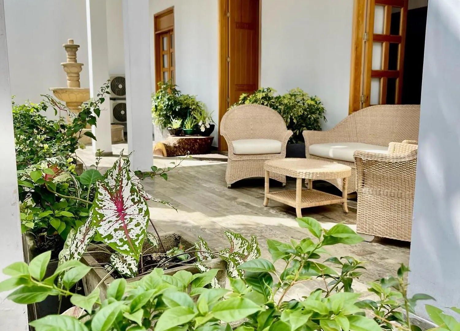 Hotel Cattaleya City Cali Colombia